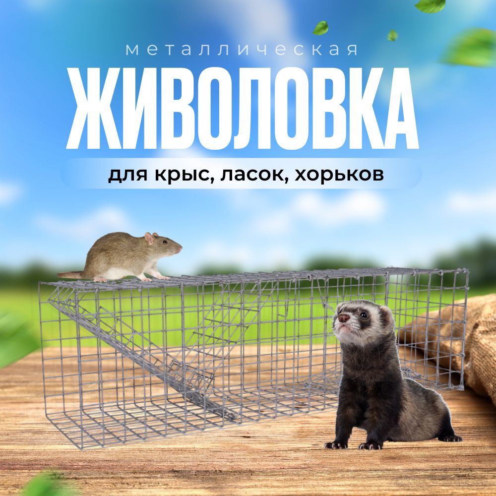 Лови Хомяка – купить в интернет-магазине OZON по низкой цене