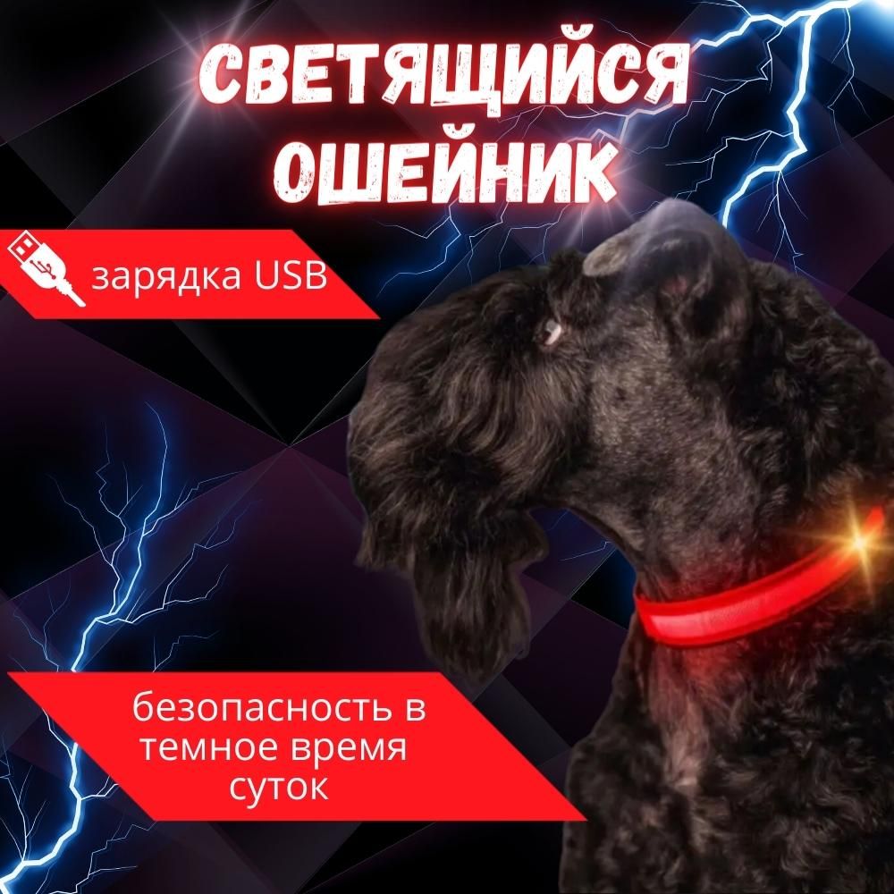 СветодиодныйошейниксзарядкойUSB