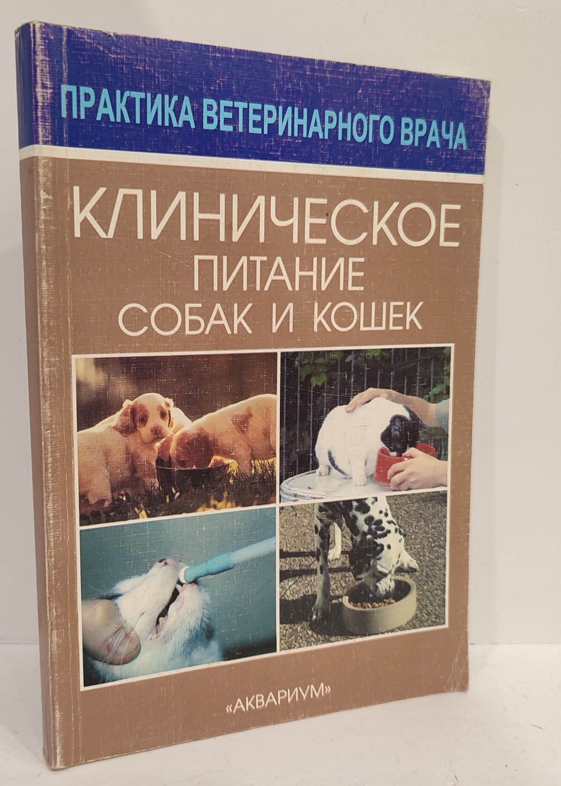 Рассказано о роли