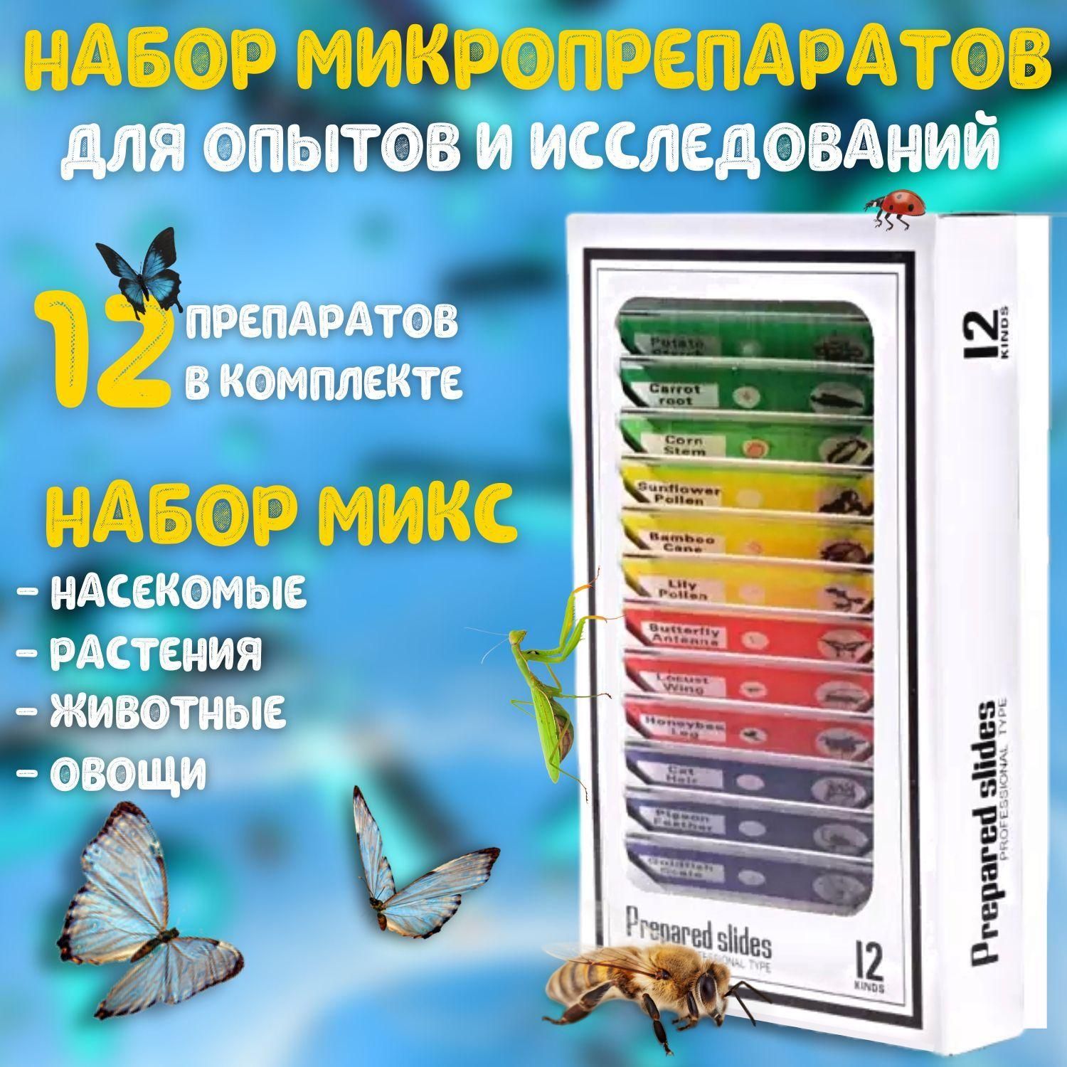 Набор микропрепаратов для микроскопа, препараты для опытов 12 штук (насекомые, животные, растения, овощи)