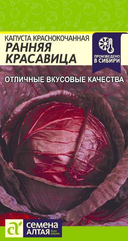Краснокочанная Капуста Семена Купить