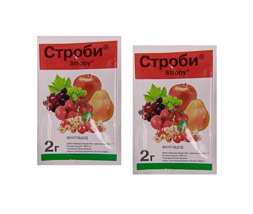 Строби форум. Строби. препарат строби. строби порошок. строби упаковка.