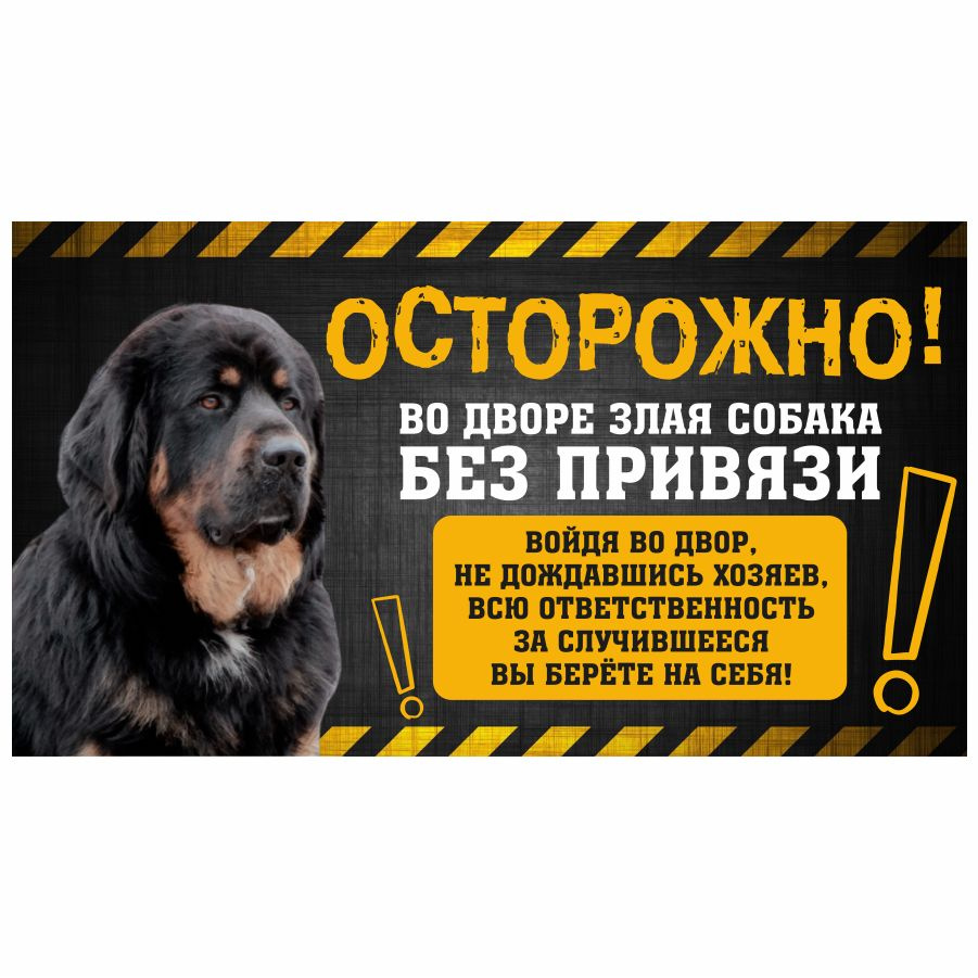Табличка, с юмором, DANGER DOG, Осторожно! Во дворе собака без привязи, Банхар, 25x14 см  #1