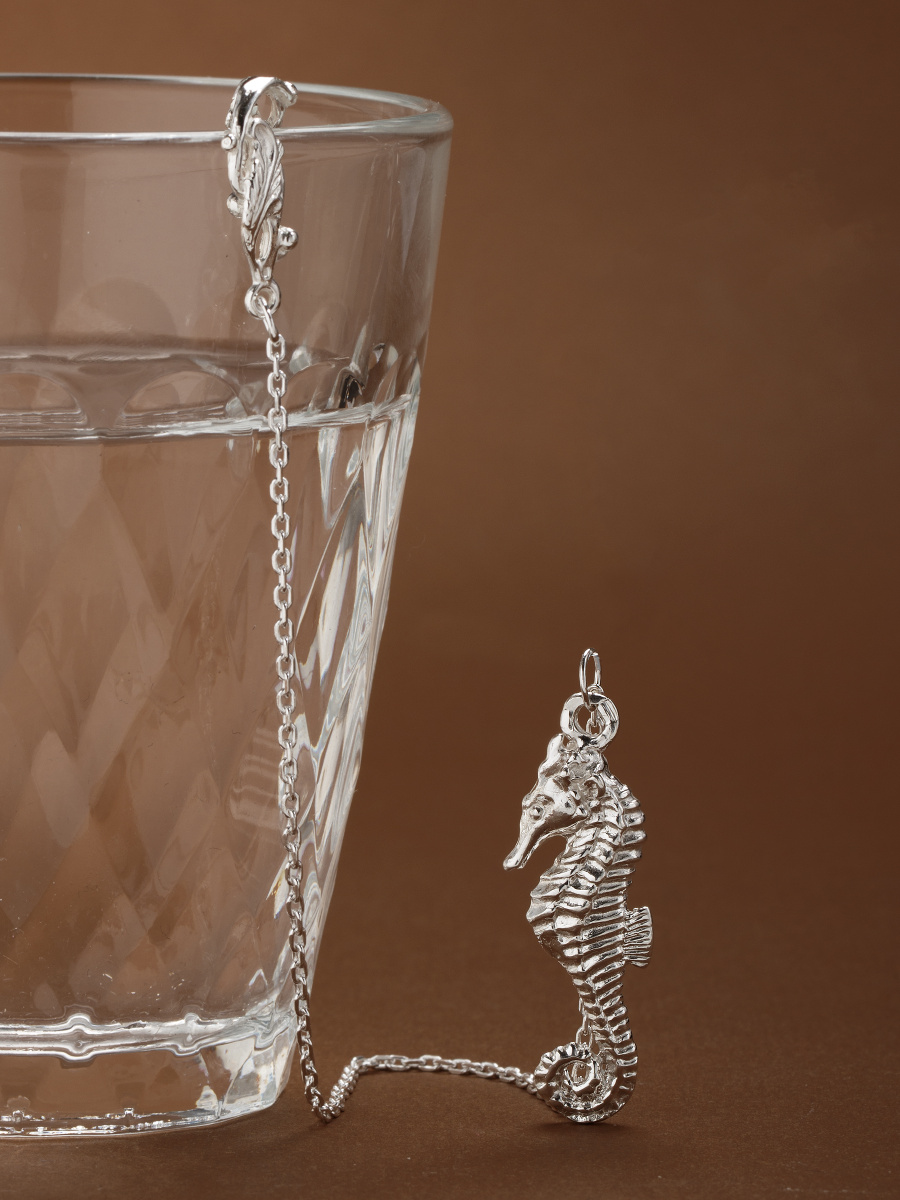 SilverOk Сувенир ювелирный Ионизатор серебряный для воды "Морской конек"  #1