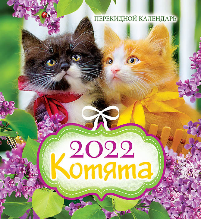 Котята Новые Серии 2022 Года Котята Новые Серии 2022 Года