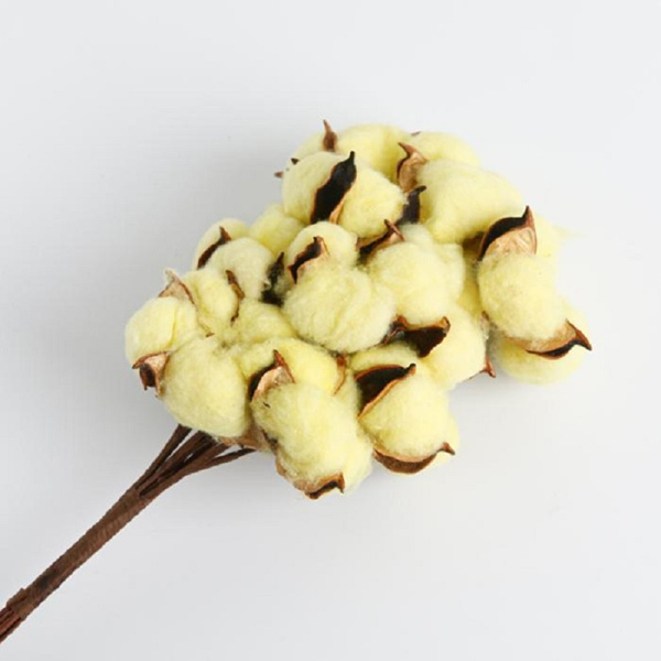 Сухоцветы Your dried flowers Хлопок, 150 гр, 10 шт купить по выгодной ...