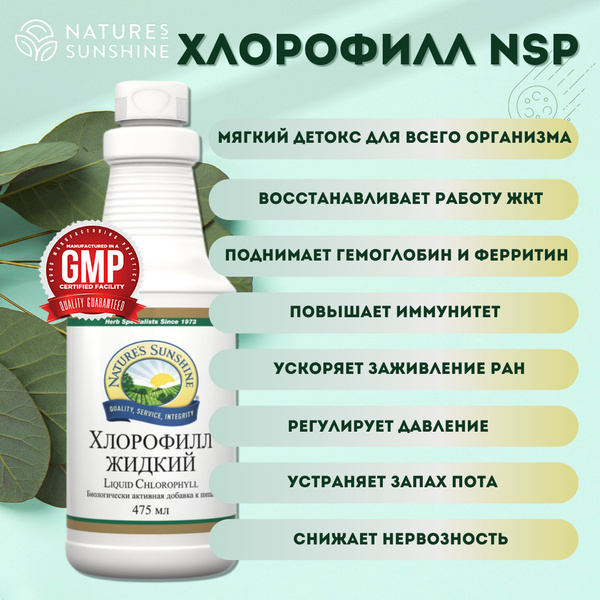 Характеристики Жидкий Хлорофилл НСП / Liquid Chlorophyll NSP подробное ...