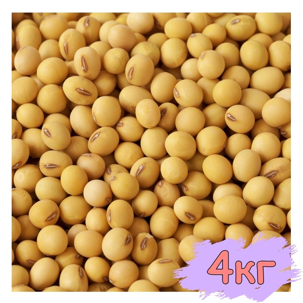 Соя для проращивания, для тофу, Вегетарианский продукт, Vegan 4 000 гр ...