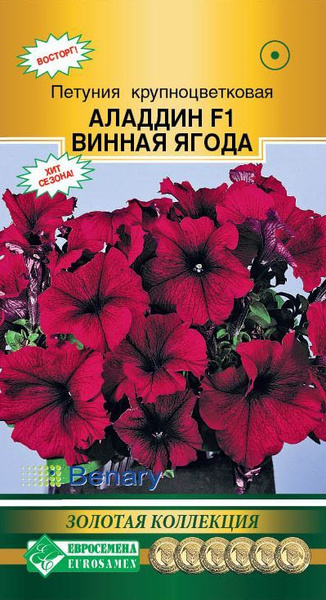 Петунии Евросемена Петунии - купить по выгодным ценам в интернет ...