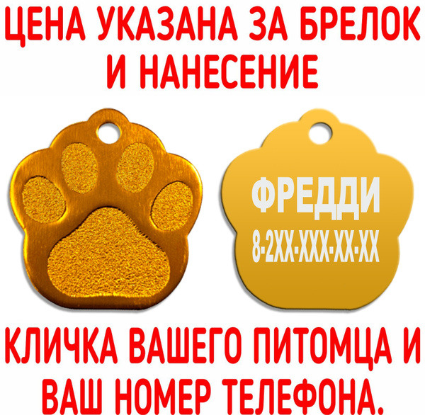 Адресник с гравировкой для кошек и собак купить на OZON по низкой цене ...