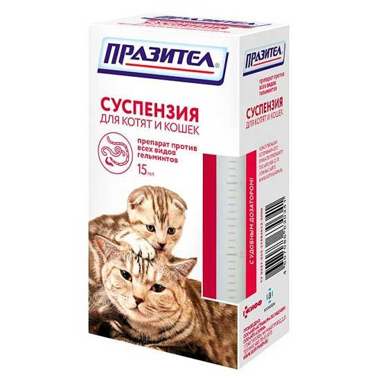 Таблетки от глистов кошкам