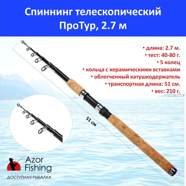 Спиннинг AZOR FISHING ПроТур, от 40 гр купить по выгодным ценам в ...