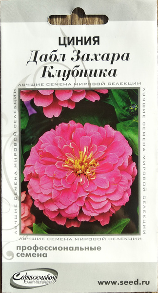 Циннии, Циния Дом семян Циния Дабл Захара Клубника, крупные махровые ...