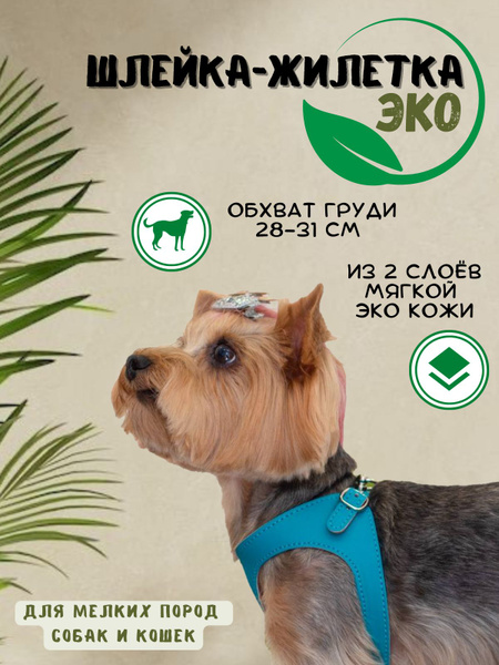 Шлейка-жилетка "ЭКО" прогулочная для собак и кошек 28 - 31 см бирюзовая ...