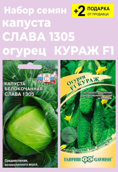 Капуста, Огурцы Проверенные семена Слава 1305_бирюзовый - купить по ...