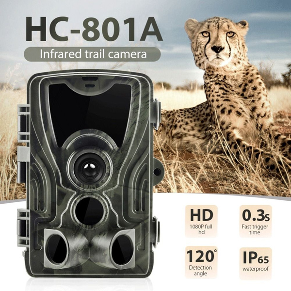 Охотничья камера HC801A, 24 МП, 1080P, фотоловушка с ночным видением ...