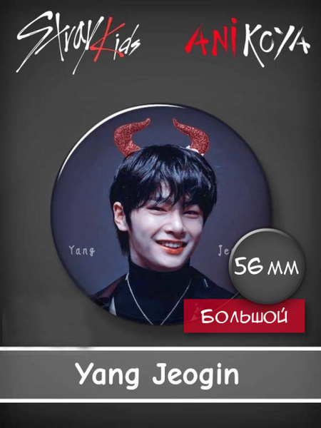 Значки к-pop Стрей Кидс / Stray Kids YANGJEOGIN 56 мм мерч - купить с ...