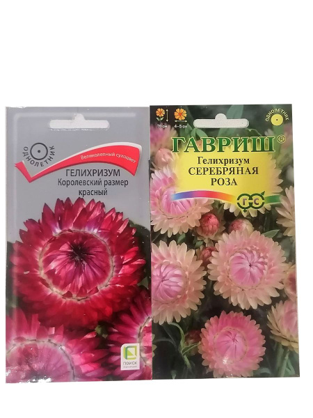 Гелихризум Гелихризумы - купить по выгодным ценам в интернет-магазине ...