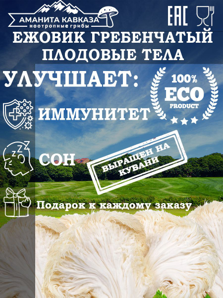 Ежовик Гребенчатый ТЕЛА 1000 гр. / ОПТ 1КГ / Hericium Erinaceus ...