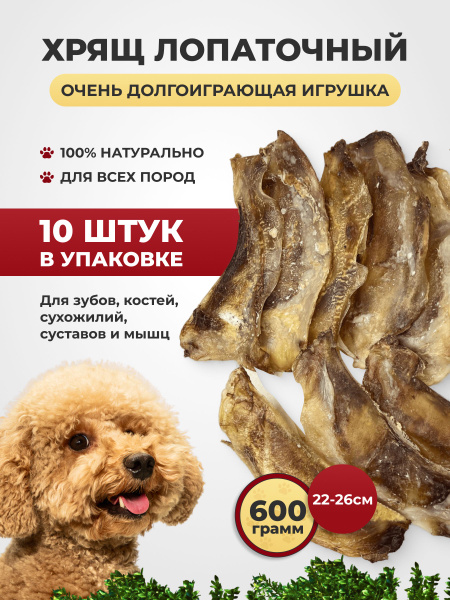 Хрящ лопаточный - 10шт. - купить с доставкой по выгодным ценам в ...