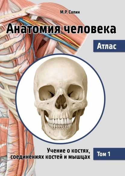 Анатомия человека. Атлас. Том 1. Учение о костях, соединениях костей и ...