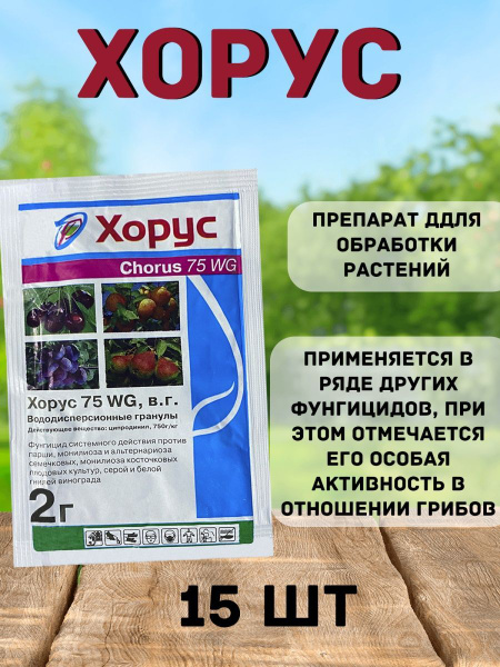 Фунгицид Хорус 2г - купить с доставкой по выгодным ценам в интернет ...