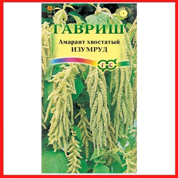 Амаранты Гавриш Амарант Вдохновение (хвостатый) - купить по выгодным ...