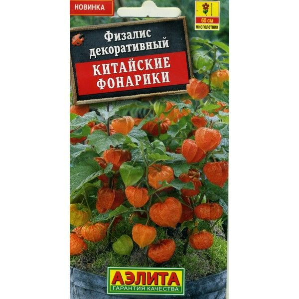 Физалис Аэлита Физалис - купить по выгодным ценам в интернет-магазине ...