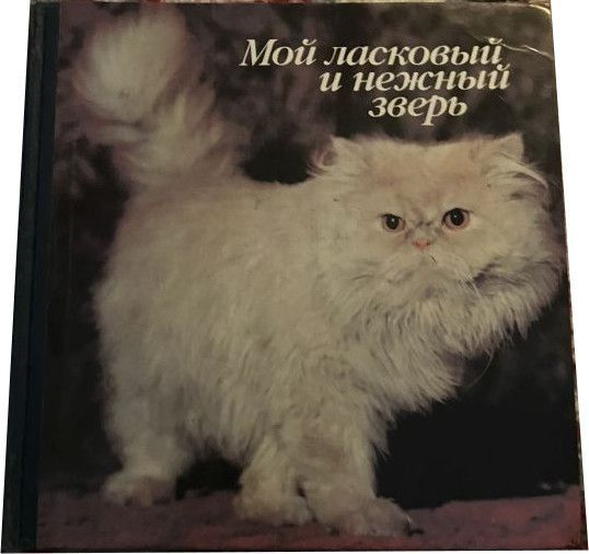 Мой ласковый и нежный зверь. Мой ласковый и нежный зверь книга. Мой ласковый и нежный. Мой ласковый зверь книга.