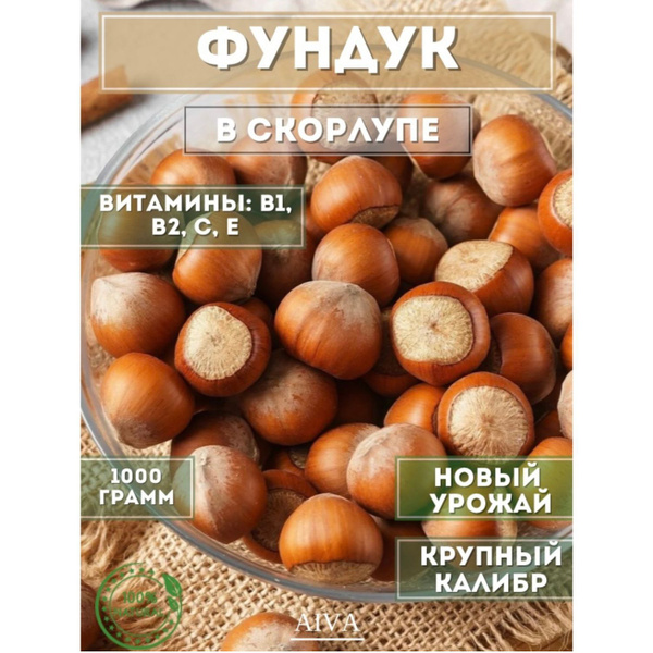 Фундук сырой в скорлупе лесной орех неочищенный 1 кг - купить с ...