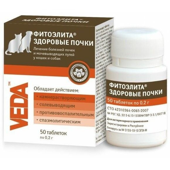 Здоровые почки для кошек