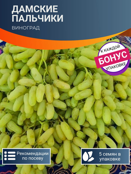 Виноград XSeedS дамские пальчики - купить по выгодным ценам в интернет ...