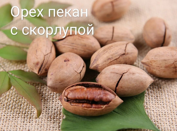 Пекан орех в скорлупе обжаренные в какао масле 1000гр,ЮАР - купить с ...