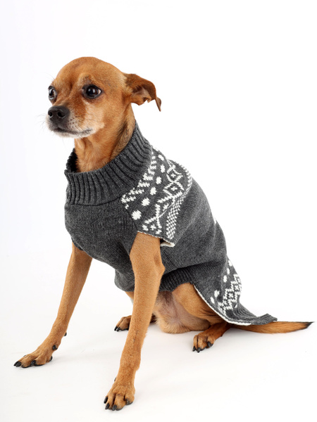 Свитер для собак и кошек, одежда для животных мелких и средних пород ...