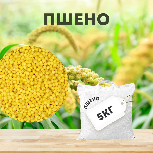 Пшено шлифованное 5кг 1сорт Саратовская область - купить с доставкой по ...