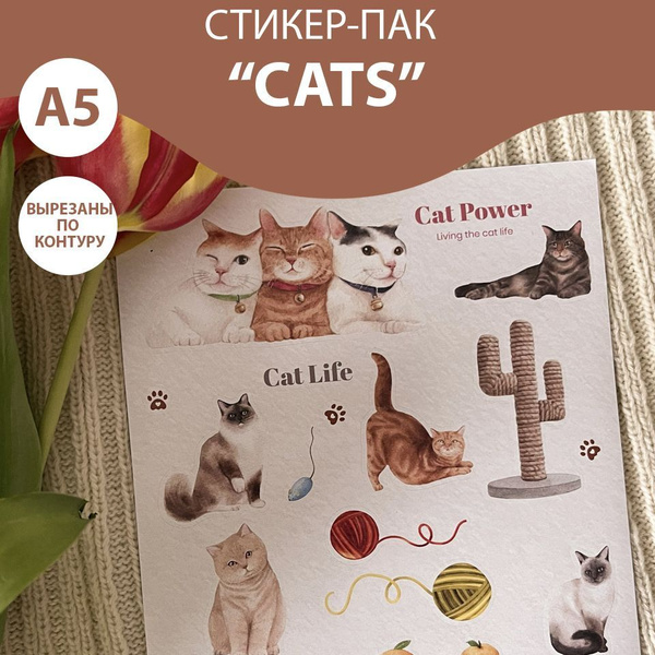 Стикер-пак A5 flappy stickers "Cats" - купить с доставкой по выгодным ...