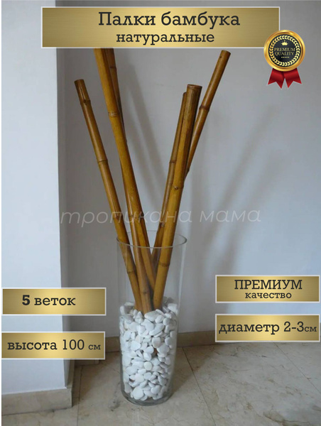 Купить Бамбук без кашпо для декора интерьера, 5 палок, 100 см по ...