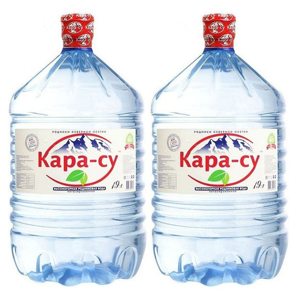 Вода питьевая Кара-Су 19л, 2 бутыля - купить с доставкой по выгодным ...