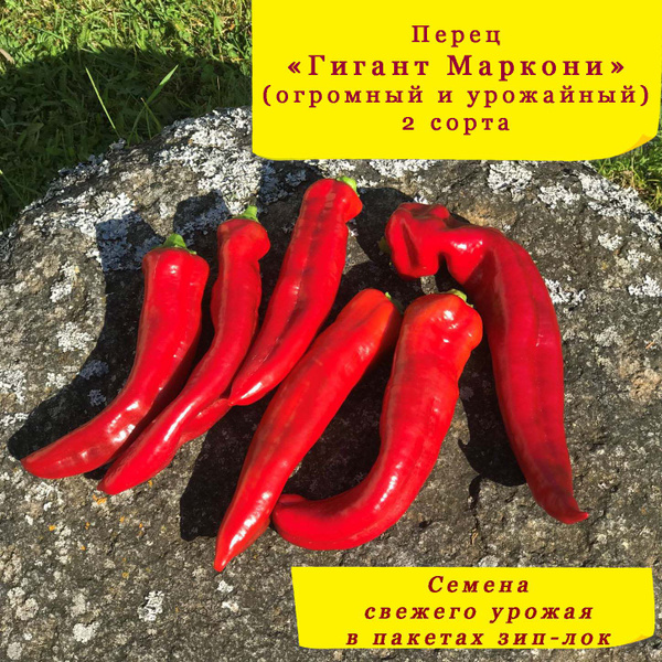 Перец сладкий Сладкий перец - купить по выгодным ценам в интернет ...