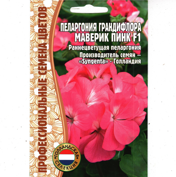 Пеларгонии (Герань) Григорьев комнатные - купить по выгодным ценам в ...