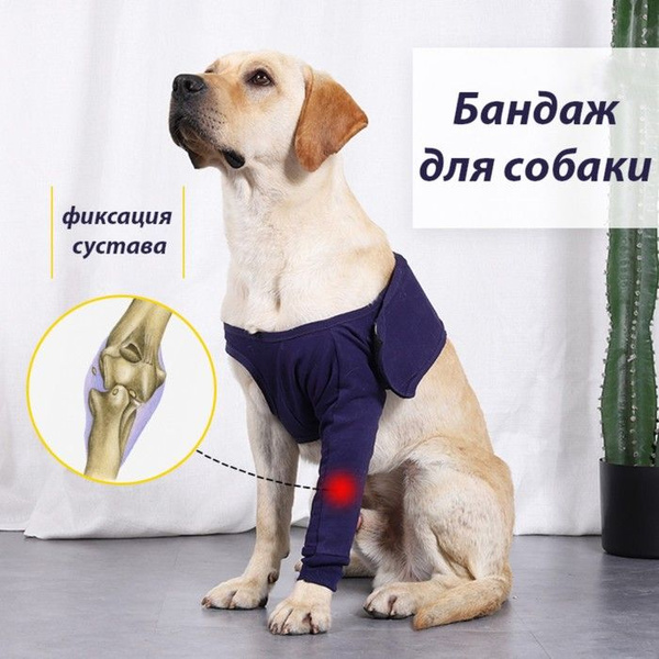 Бандаж на лапу послеоперационный, хлопок+спандекс, размер S (ОГ 40-52 ...