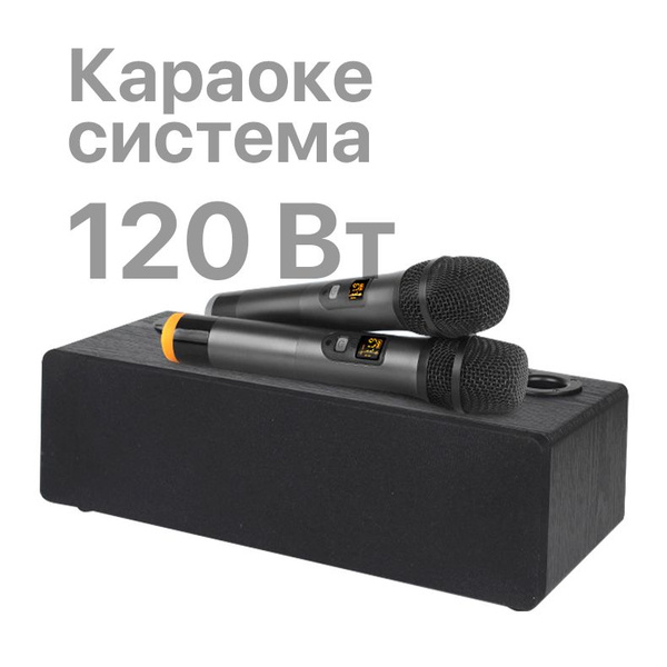 Караоке система для дома с двумя микрофонами 120 Вт, черный - купить с ...