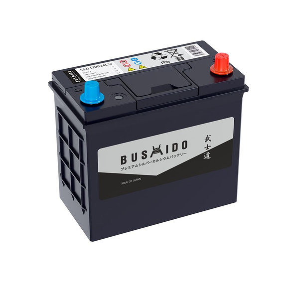 Аккумулятор автомобильный Bushido SJ 70B24LS 55Ah 500A ОП (238х127х227 ...