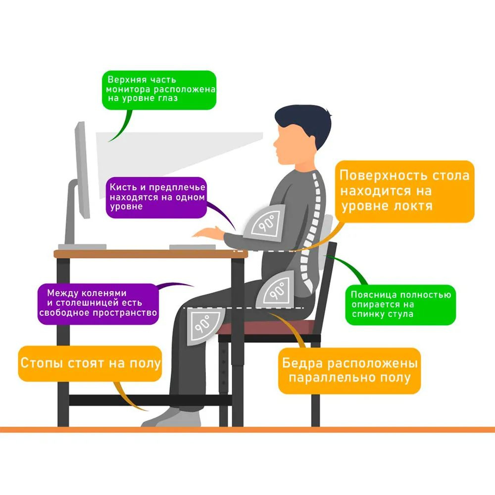 Правильное положение сидя за столом