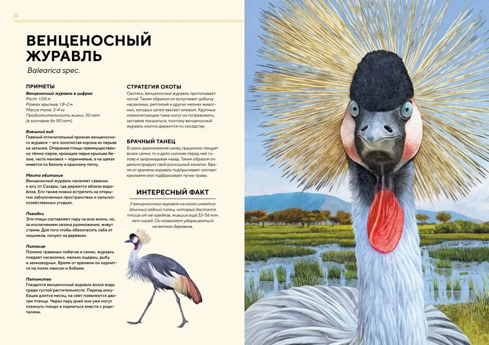 Животные Африки в натуральную величину #6