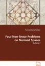 Four Non-linear Problems on Normed Spaces - Volume I - Francisco Garcia Pacheco