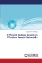 Efficient Energy Saving in Wireless Sensor Networks - Mariya Evangelin Hema