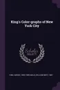 King's Color-graphs of New York City - Moses King, William Wirt Mills