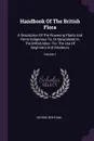 Handbook Of The British Flora. A Description Of The Flowering Plants And Ferns Indigenous To, Or Naturalized In, The British Isles : For The Use Of Beginners And Amateurs; Volume 1 - George Bentham