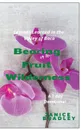 Bearing Fruit in the Wilderness. Lessons Learned in the Valley of Baca - Janice Bradley